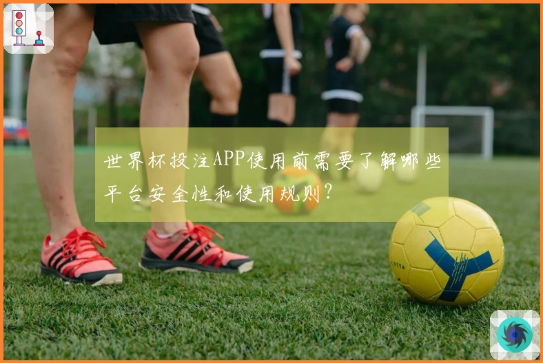 世界杯投注APP使用前需要了解哪些平台安全性和使用规则？